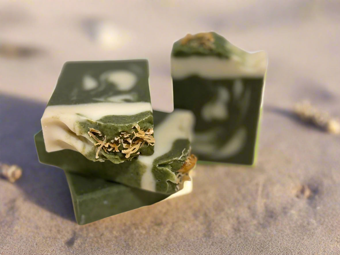 New! Aloe & Sea Moss